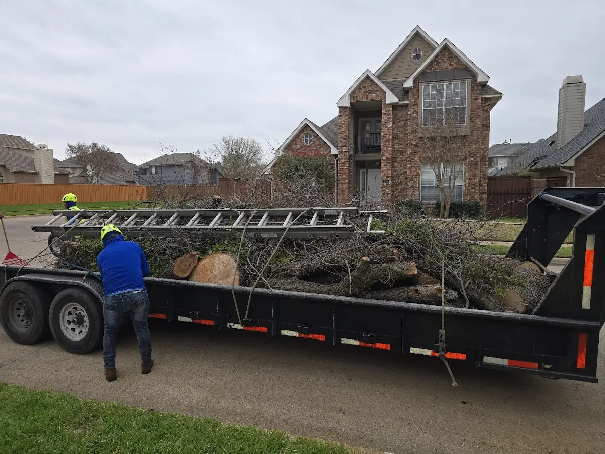 Expert Tree Fertilization with proper safety equipment in Bunkie